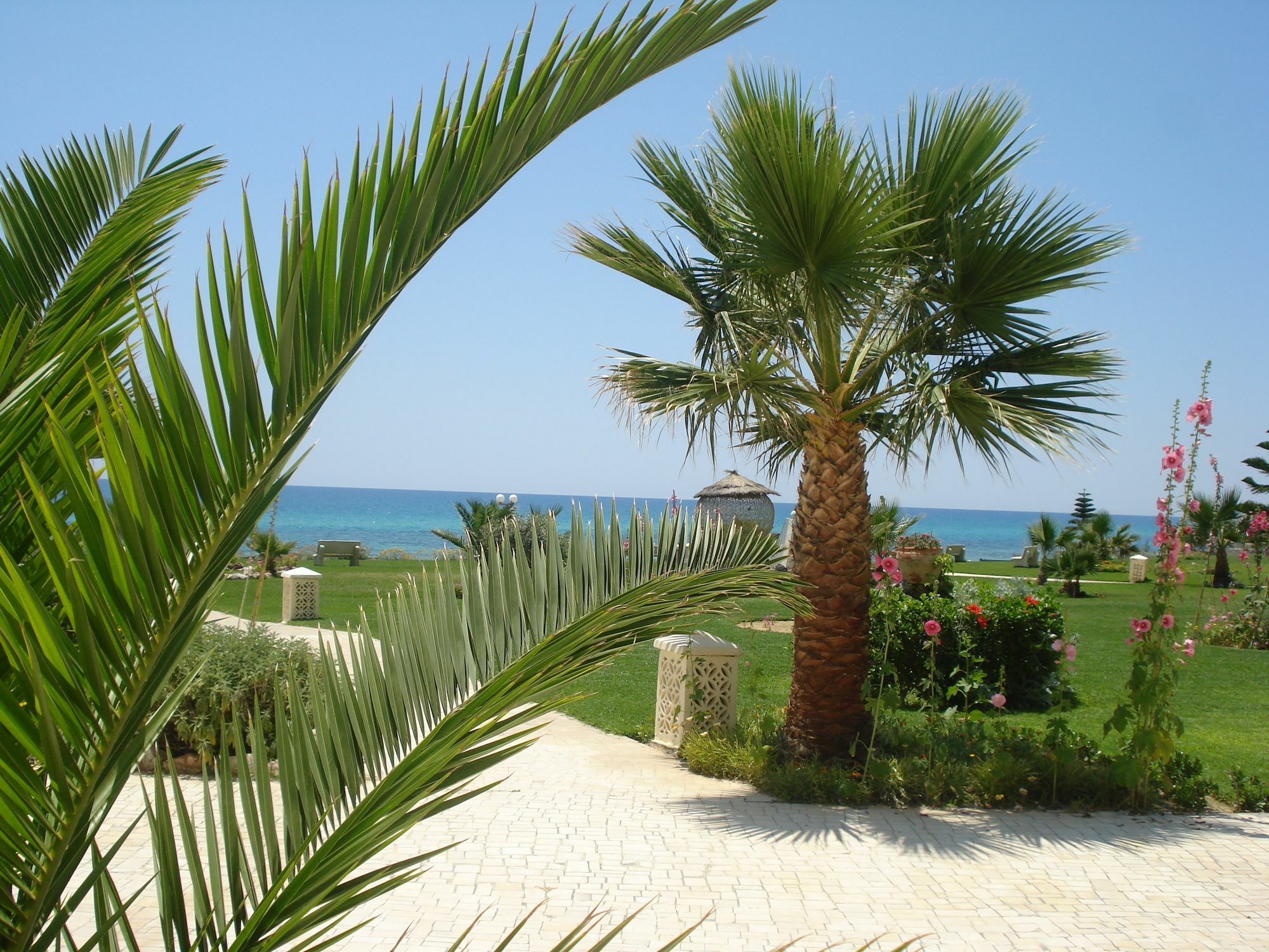B&B Cote D'Azur Hammamet Esterno foto