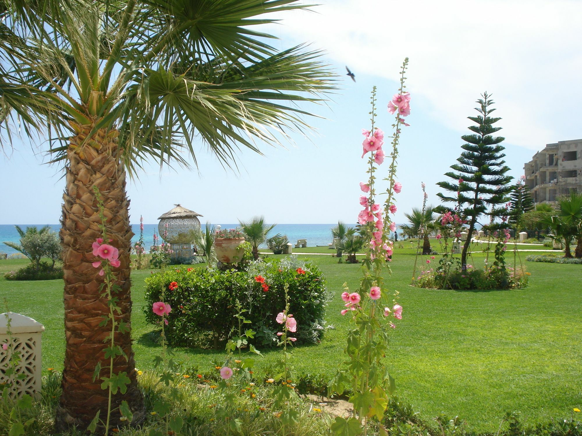 B&B Cote D'Azur Hammamet Esterno foto